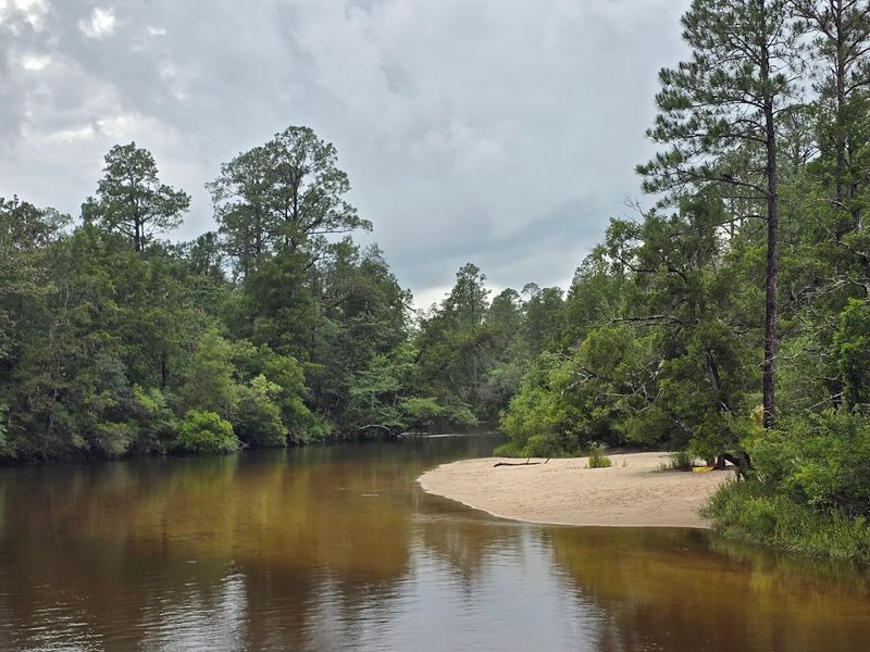 Blackwater River State Park – Holt