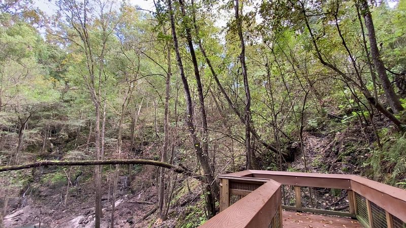 Wildlife Watching In An Unexpected Habitat