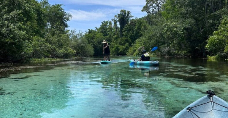 Skip the Hiking Trail and Paddle Through This Florida Paradise Instead
