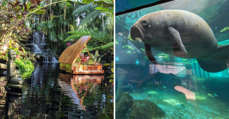Spend Less Than $20 at These 11 Florida Adventures You’ll Want to Visit Again