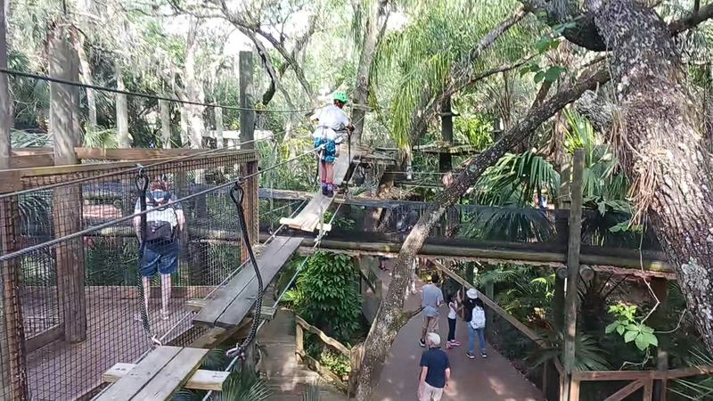 Brevard Zoo - Melbourne (home to the Treetop Trek aerial adventure)