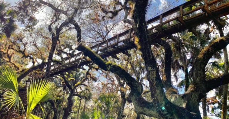The Beaches Get All the Attention, but This Florida State Park Has Wetlands, Wildflowers, and Treetop Views