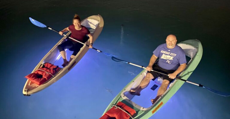 The Water Glows Beneath Your Kayak On This Amazing Florida Night Adventure