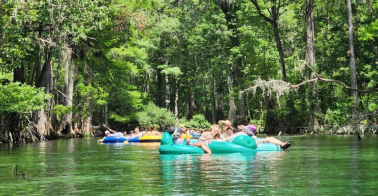 These 12 Florida Swimming Holes Are So Clear You’ll Want to Jump Right In