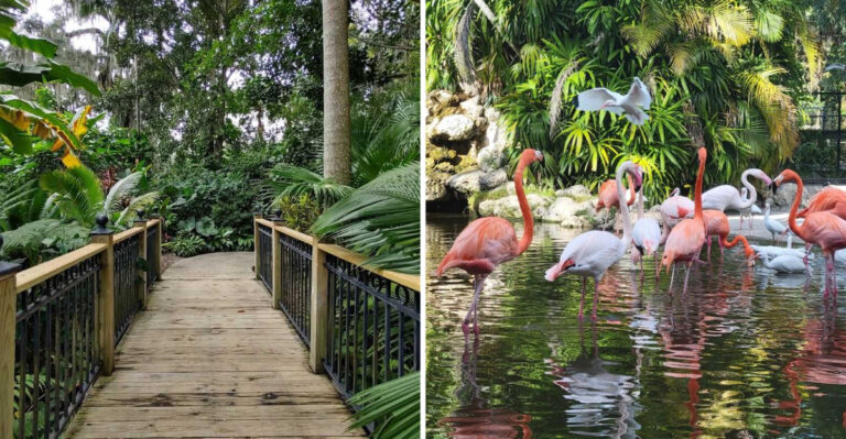 These 12 Florida Tropical Gardens Are Bursting With Color All Through August