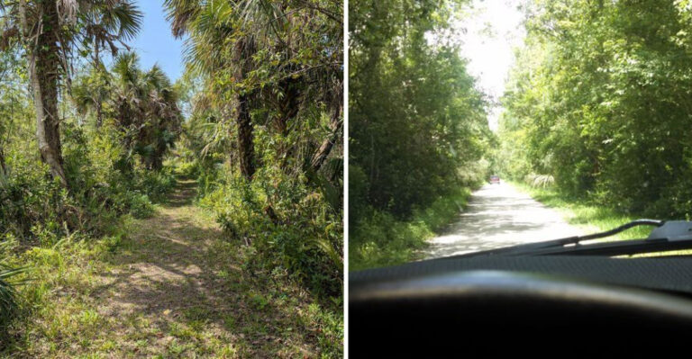 This 11-Mile Florida Drive Feels Like A Journey Through A Hidden Paradise