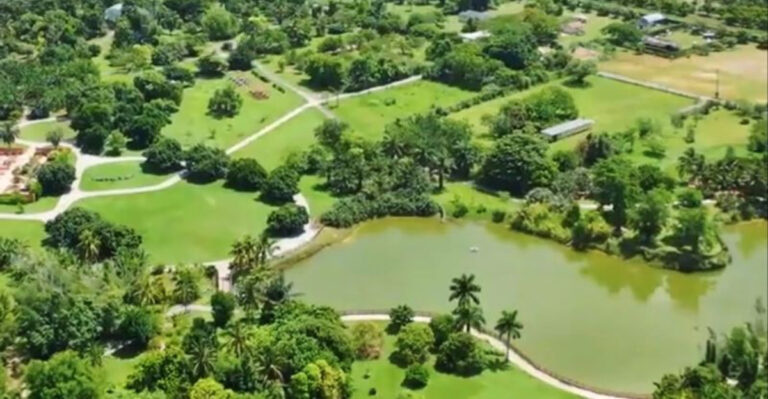 This 37-Acre Florida Park Lets You Eat Every Exotic Fruit That Falls for Just $15