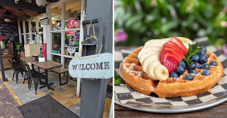This Beautiful Florida Café Looks More Like a Greenhouse Than a Coffee Shop
