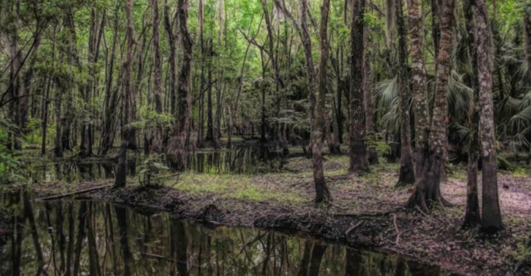 This Fascinating Florida Trail Leads Through an Abandoned Ghost Town