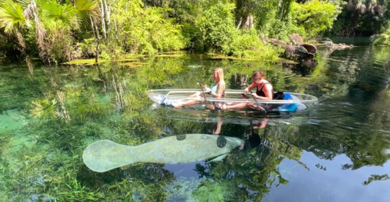 This Florida Kayak Trip Is Perfect for Anyone Who Loves Clear Water and Wildlife