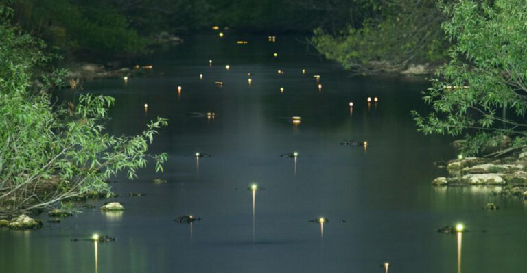 This Florida National Park Becomes Even More Magical After Dark