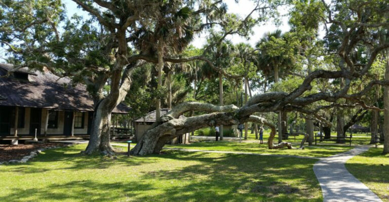This Hidden Florida Preserve Feels Like a Storybook Come to Life