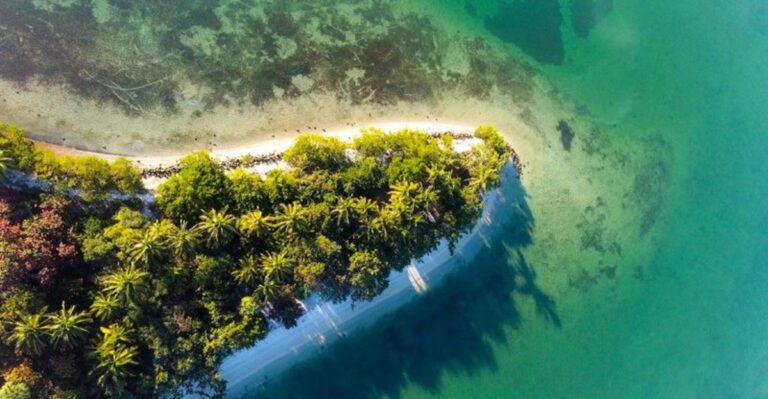 This Little-Known Florida Island Is the Perfect Place to Pack a Picnic and Disappear