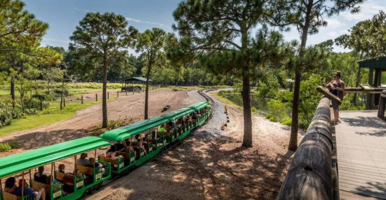 This Magical Florida Train Ride Takes You Past Free-Roaming Animals