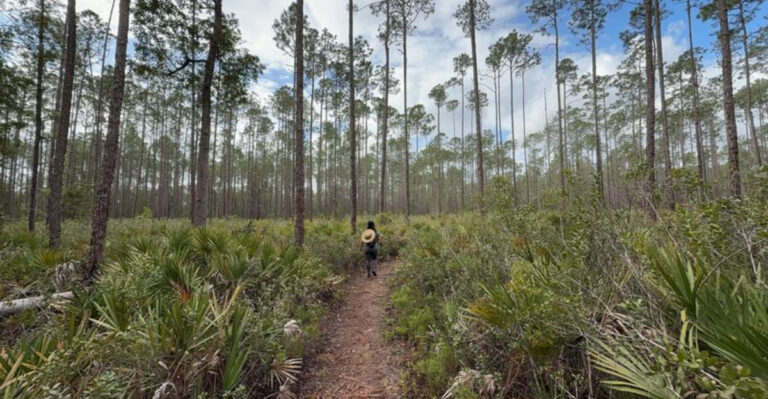 This Scenic 8-Mile Florida Trail Leads Straight To A Ghost Town Time Forgot