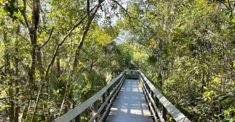 This Secret Florida Nature Spot Feels Like Stepping Into A Rainforest Portal