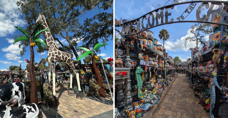This Wallet-Friendly Florida Roadside Attraction Is a Must-Stop on Your Next Drive