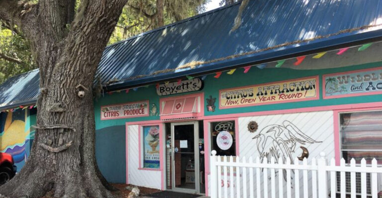 This Weird Florida Roadside Attraction Has Dinosaurs, Camels, and Fresh Oranges