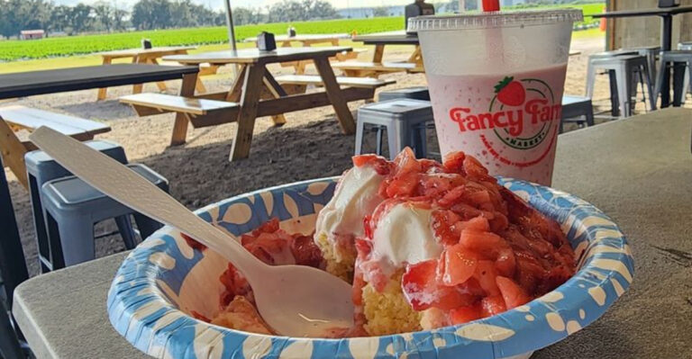 Travelers Can’t Stop Talking About The Strawberry Shortcake At This Florida Roadside Stand