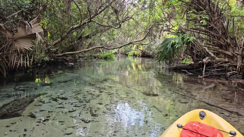 Juniper Run – Silver Springs