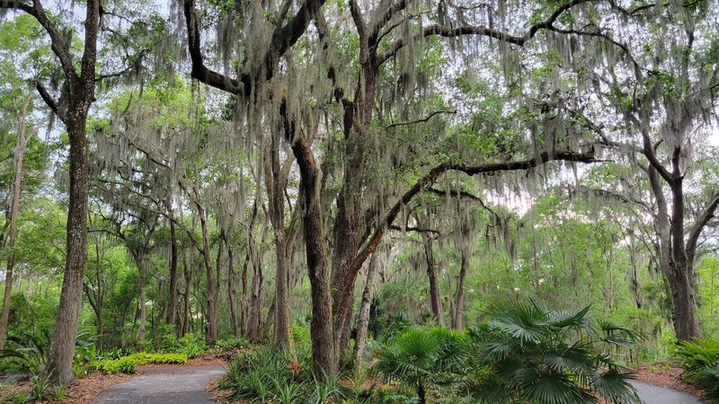 Native Plant Labels That Turn Every Walk Into a Learning Experience