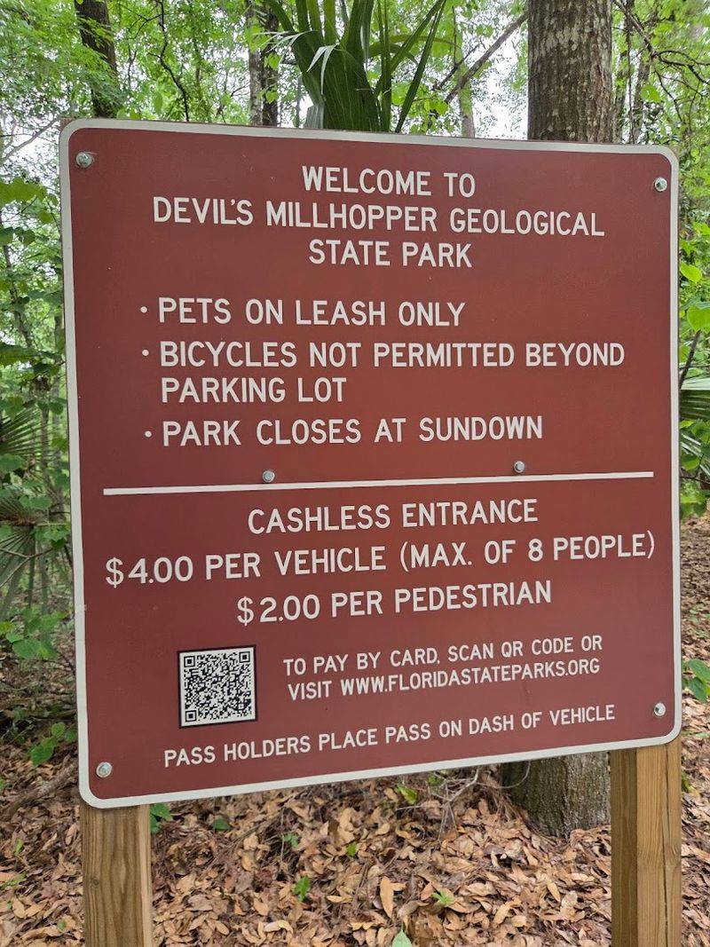 Practical Details That Make Your Visit Smooth