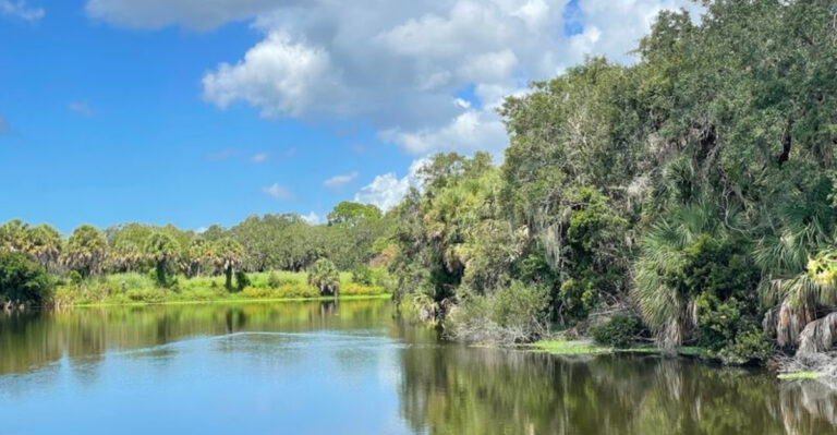 While Everyone Else Fights the Crowds, This Hidden Florida Trail Stays Peaceful