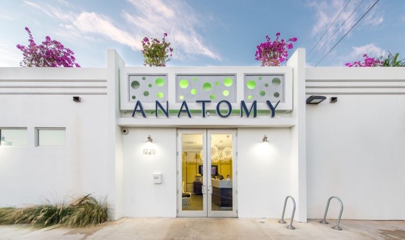 Anatomy – Miami Beach