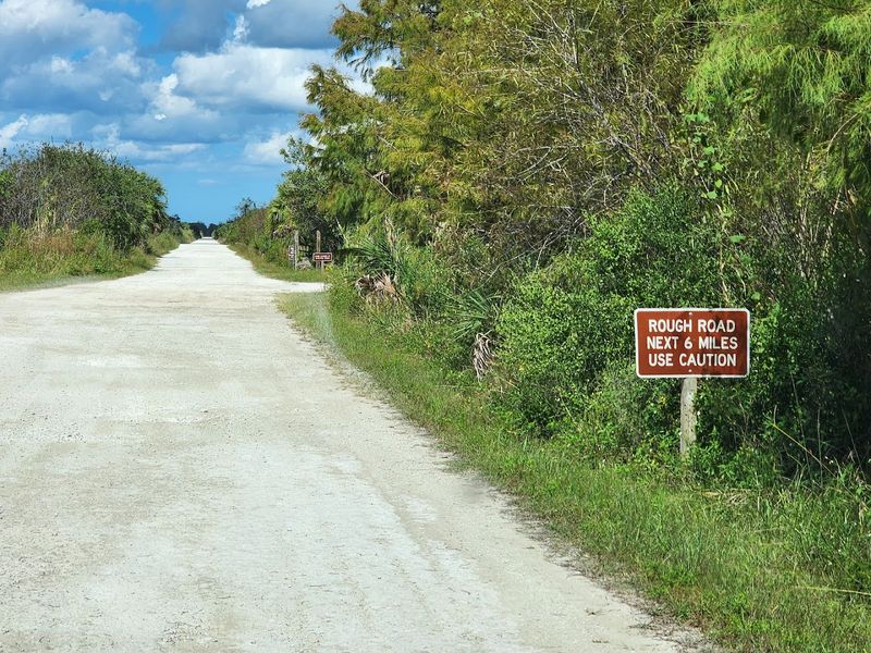 Ten Thousand Islands Viewpoints That Stretch to Infinity
