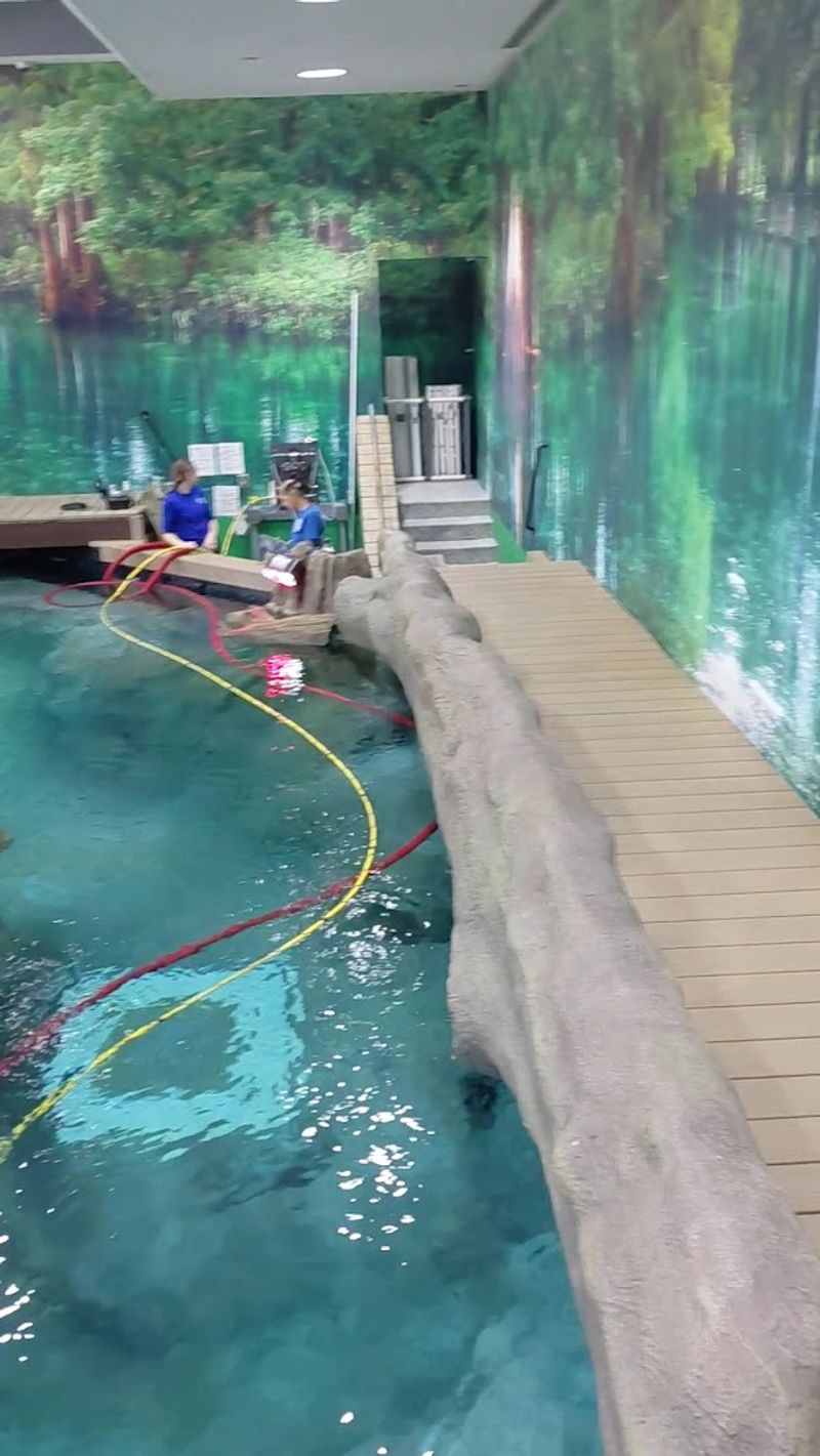 Hands-On Discovery Areas Where Touching Is Actually Encouraged
