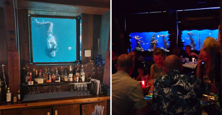 You Can Watch Live Mermaids Swim Past Your Table At This One-Of-A-Kind Florida Bar
