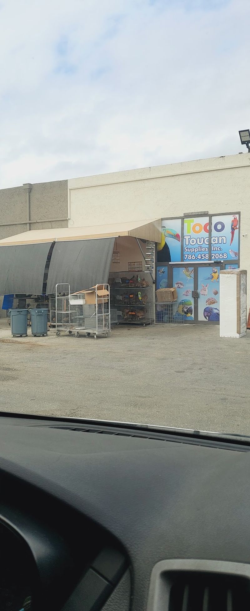 Hidden Gems in the Back Sections