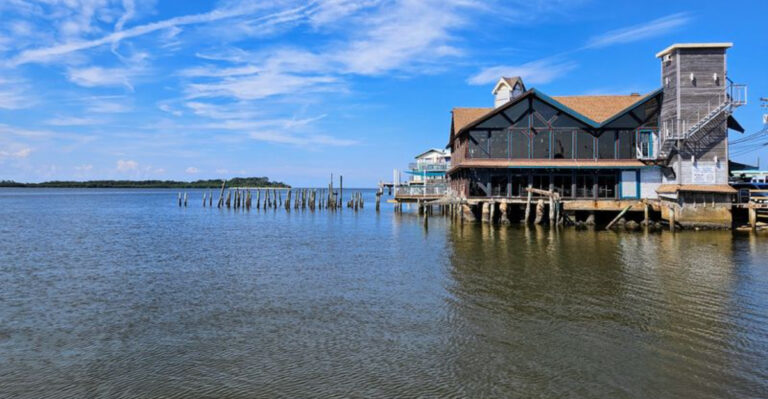 10 Under-the-Radar Florida Spots Where You Can Snorkel for Scallops