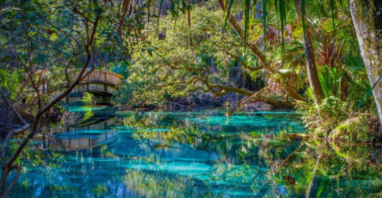 12 Budget-Friendly Florida Weekend Trips To Take This August