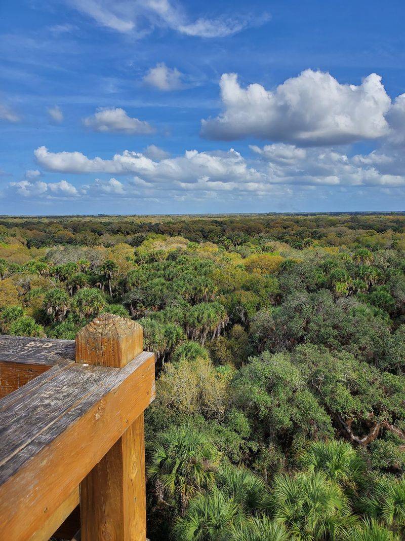 Enjoy an Easy Day Trip From Tampa