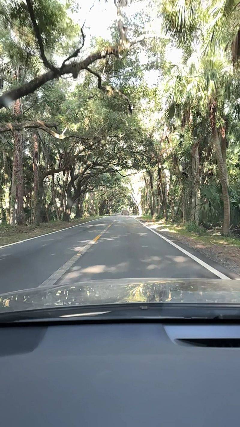 The Road That Makes You Slow Down and Reset
