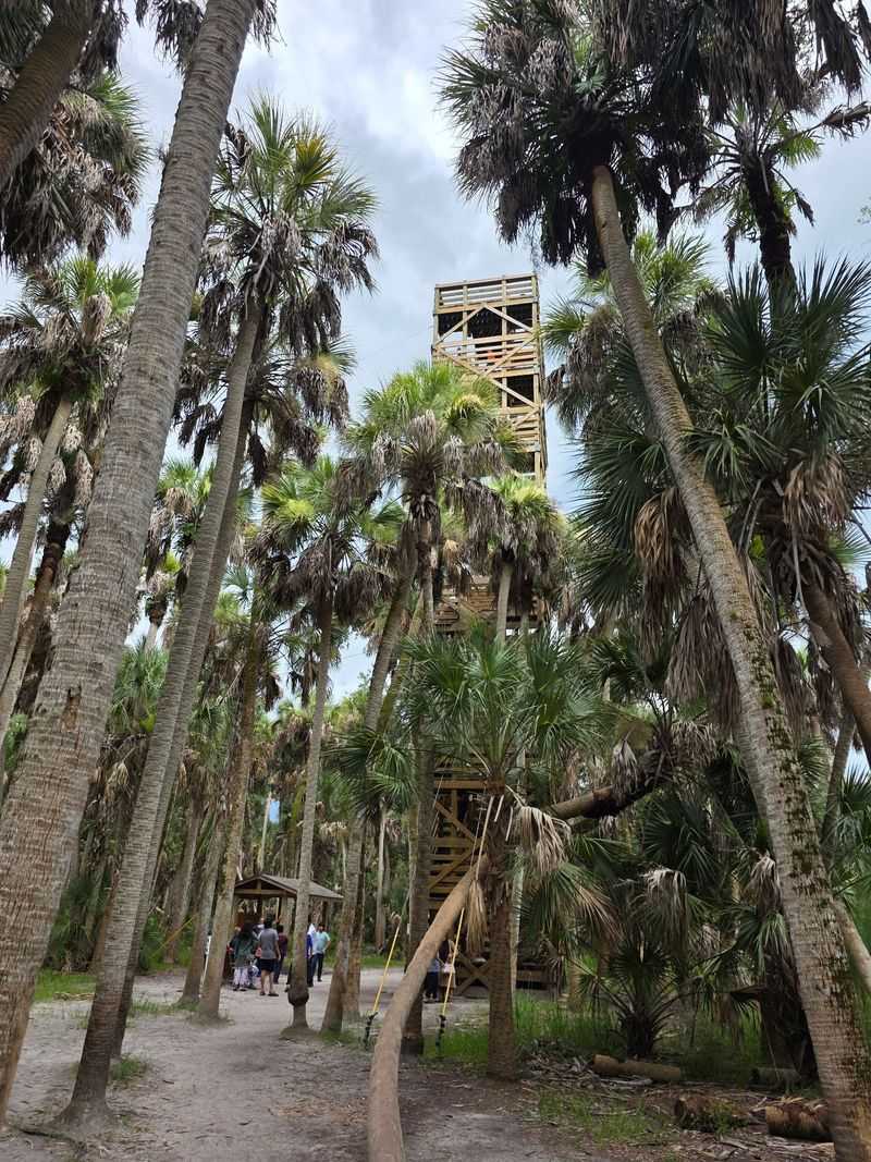 Experience a Rare Worldwide Attraction