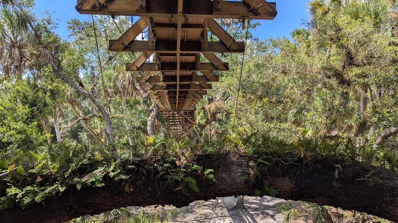 Walk Shaded Trails Through Classic Florida Wilderness