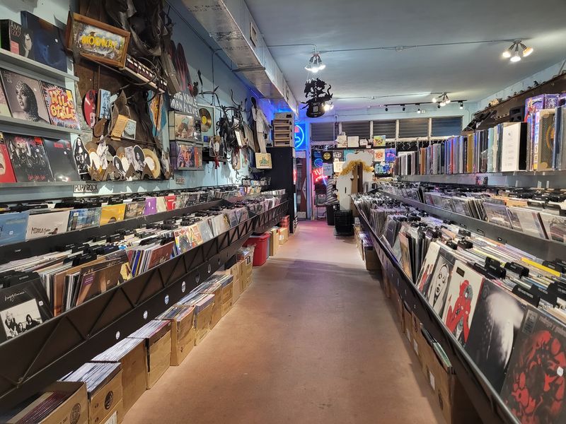 Massive Vinyl and CD Selection Spanning Every Genre