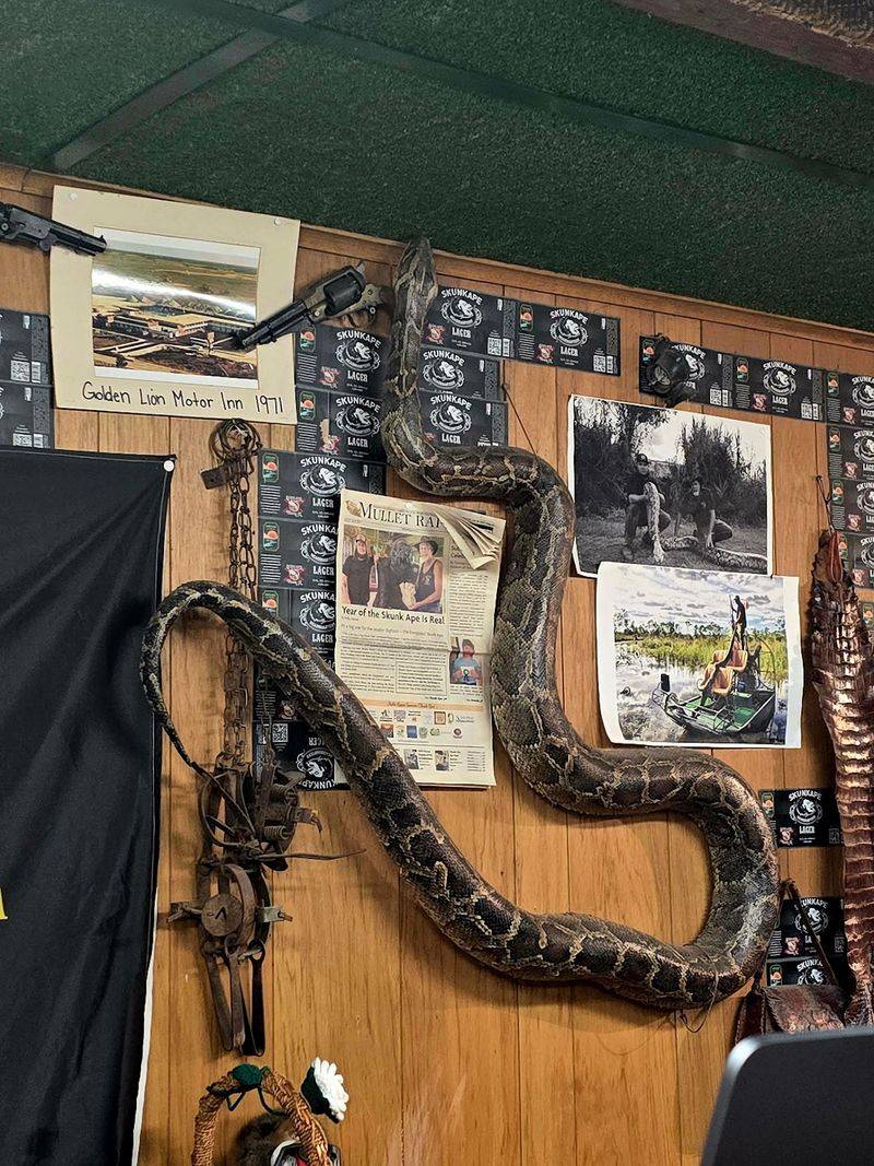 Perfect Stop Between Major Everglades Destinations