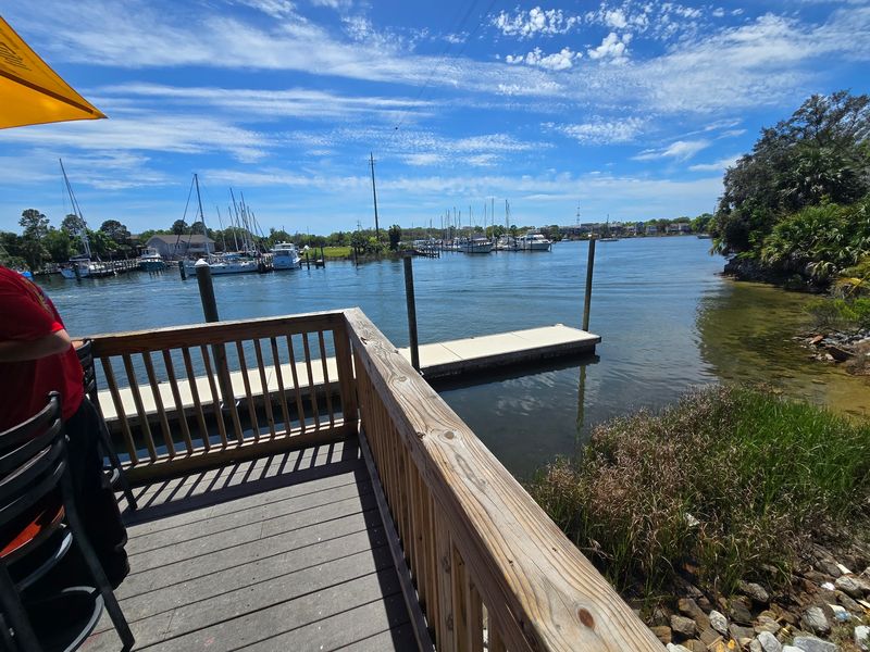 Marina Views That Beat Any Beach Crowd