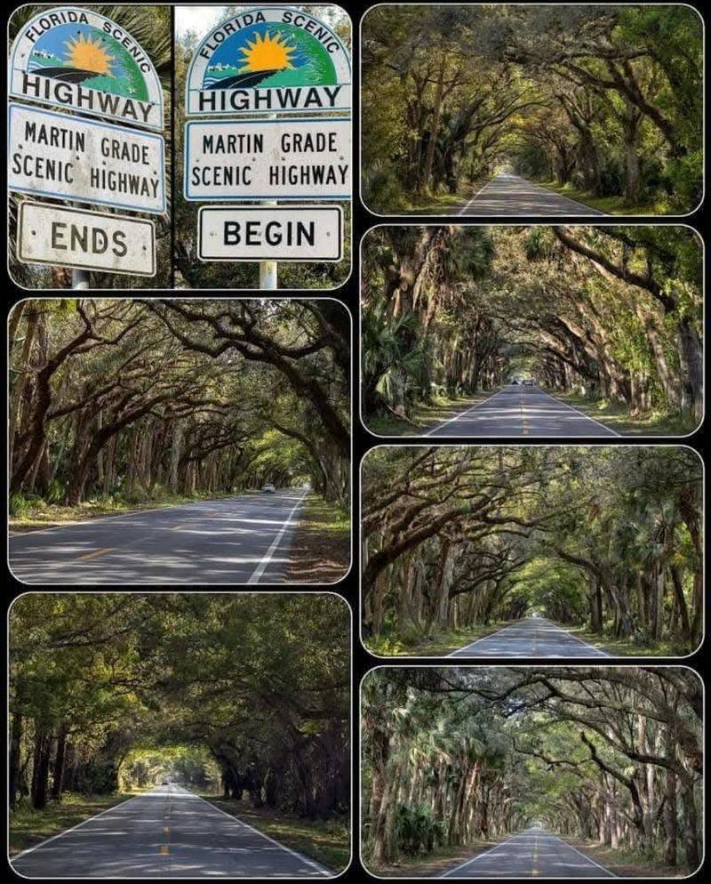 Perfect Road for Motorcycle Enthusiasts