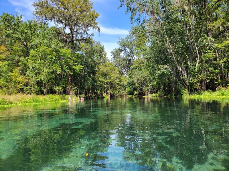 Kayaking and Paddleboarding for the Active Explorer