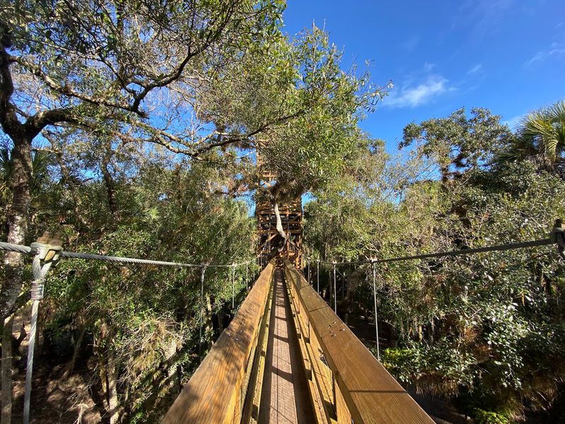 Walk Above the Trees on a Suspension Bridge