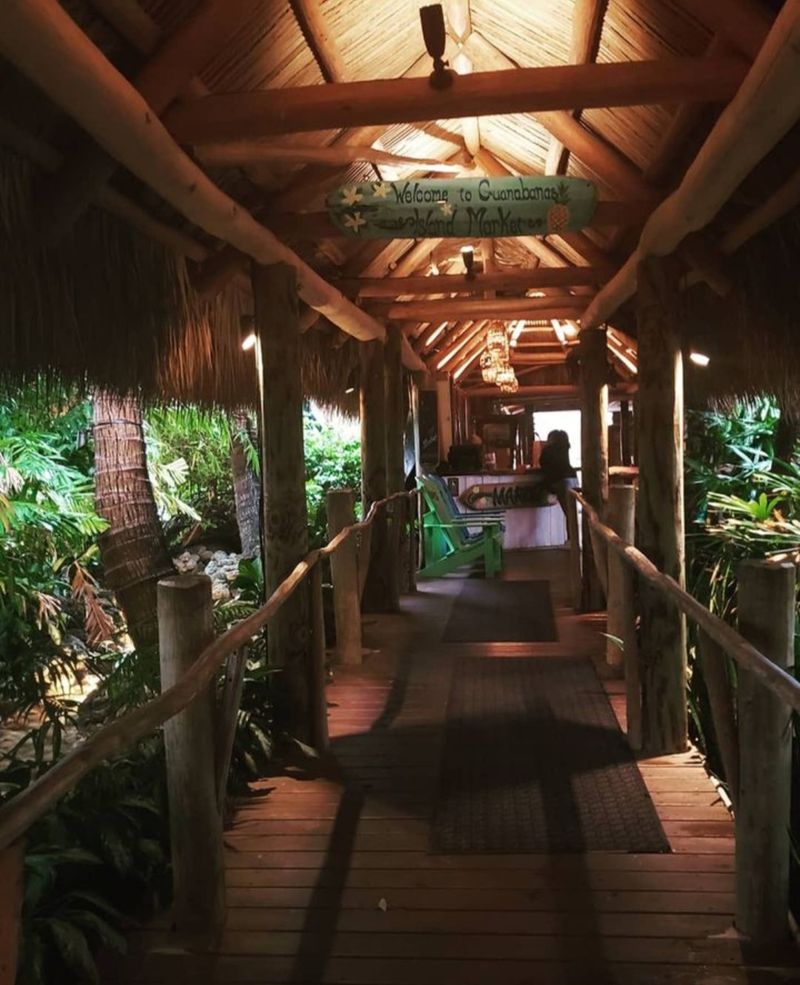 The Jungle Cruise Atmosphere That Feels Genuinely Unique