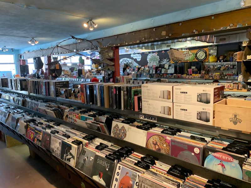 Turntables, Accessories, and Everything Vinyl Enthusiasts Need