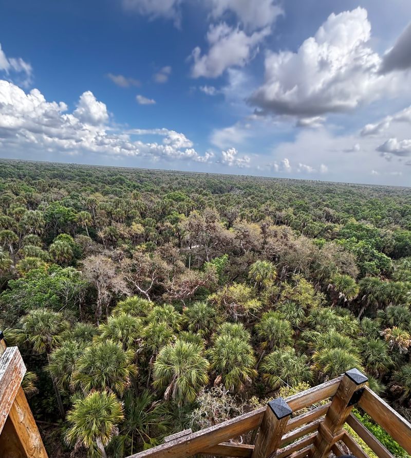 Spot Wildlife From a Unique Vantage Point