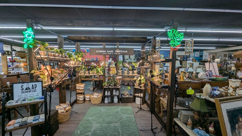 Vendor Booths Packed With Personality
