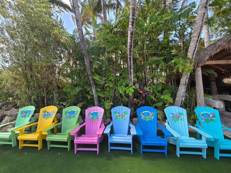 Live Music That Sets the Tropical Mood Just Right