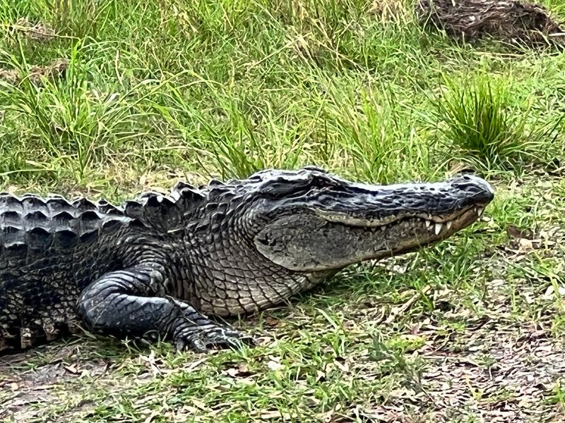 Year-Round Wildlife Photography Opportunities